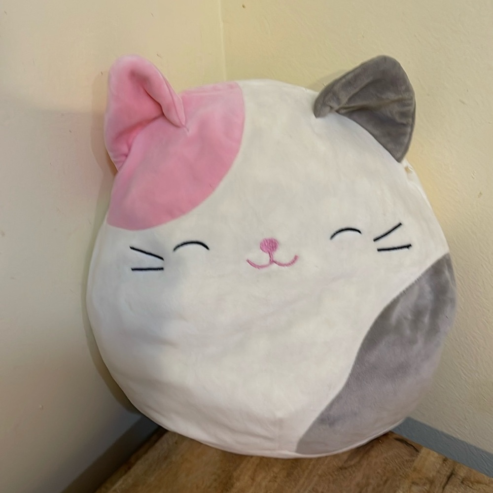 Charlotte the Pink and Purple Calico Cat Squishmallows